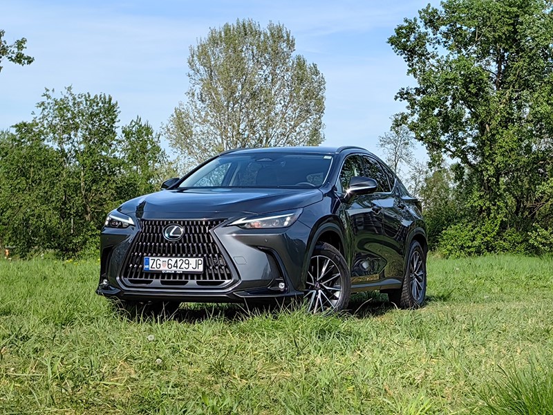 📷 Ivan Cvetković