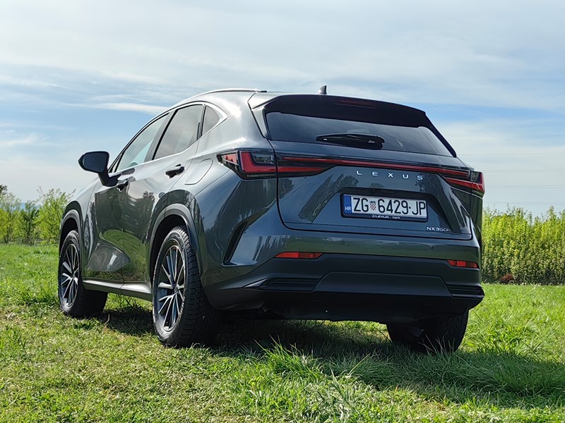 📷 Ivan Cvetković