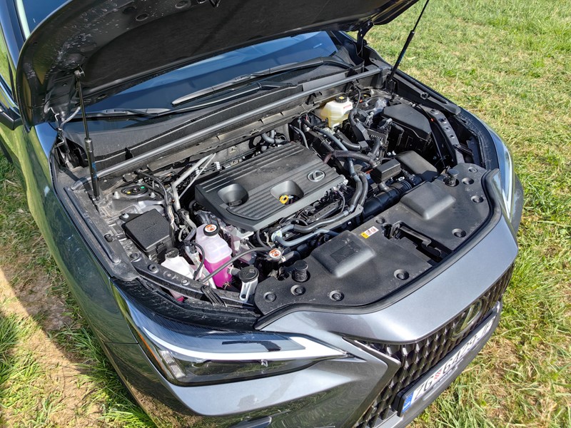 📷 Ivan Cvetković